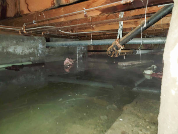 Reliable Fullerton, CA Water damage restoration Solutions