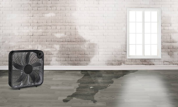 Fullerton, CA Water damage restoration Company